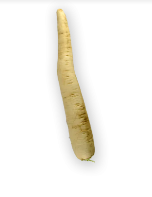 Radish 1 BAG